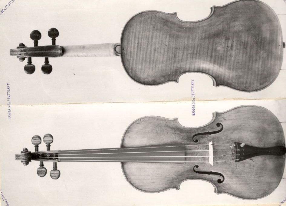 Violin
